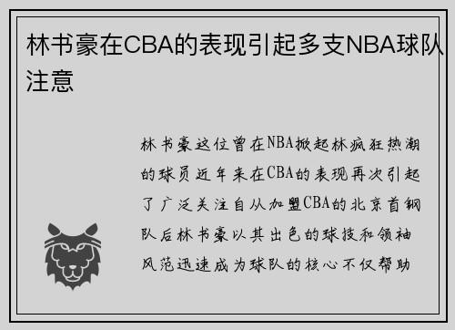 林书豪在CBA的表现引起多支NBA球队注意